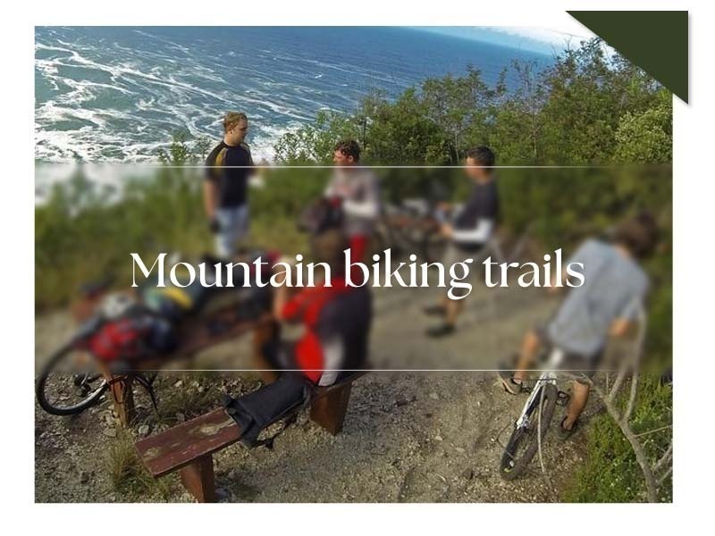 Mountain Biking